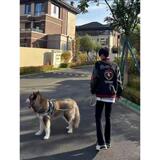 1506/Q8460/P64秋痞帅外套男ins高街潮牌原宿风潮流宽松夹克痞帅，男装夹克，星座1506