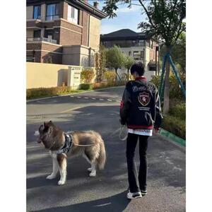 1506/Q8460/P64秋痞帅外套男ins高街潮牌原宿风潮流宽松夹克痞帅图片