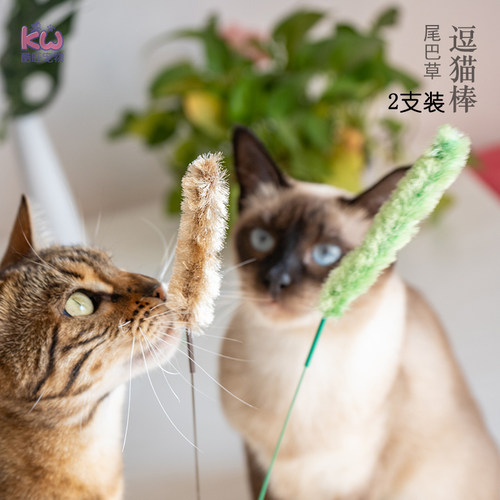 多格漫灵动逗猫棒猫咪狗尾巴草