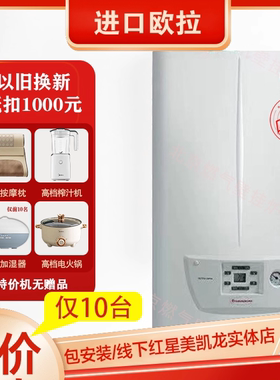 意大利依玛进口一级能效壁挂炉欧拉25KW冷凝炉家用燃气锅炉置换