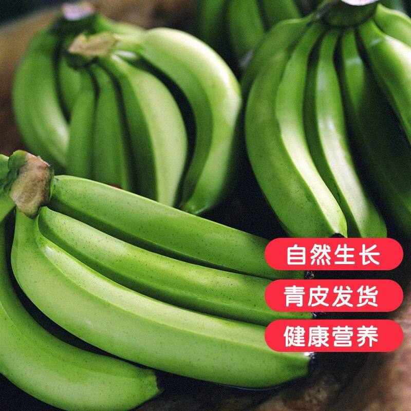 广西高山大香蕉新鲜水果当季现摘芭蕉小米蕉甜糯香蕉自然熟不打药