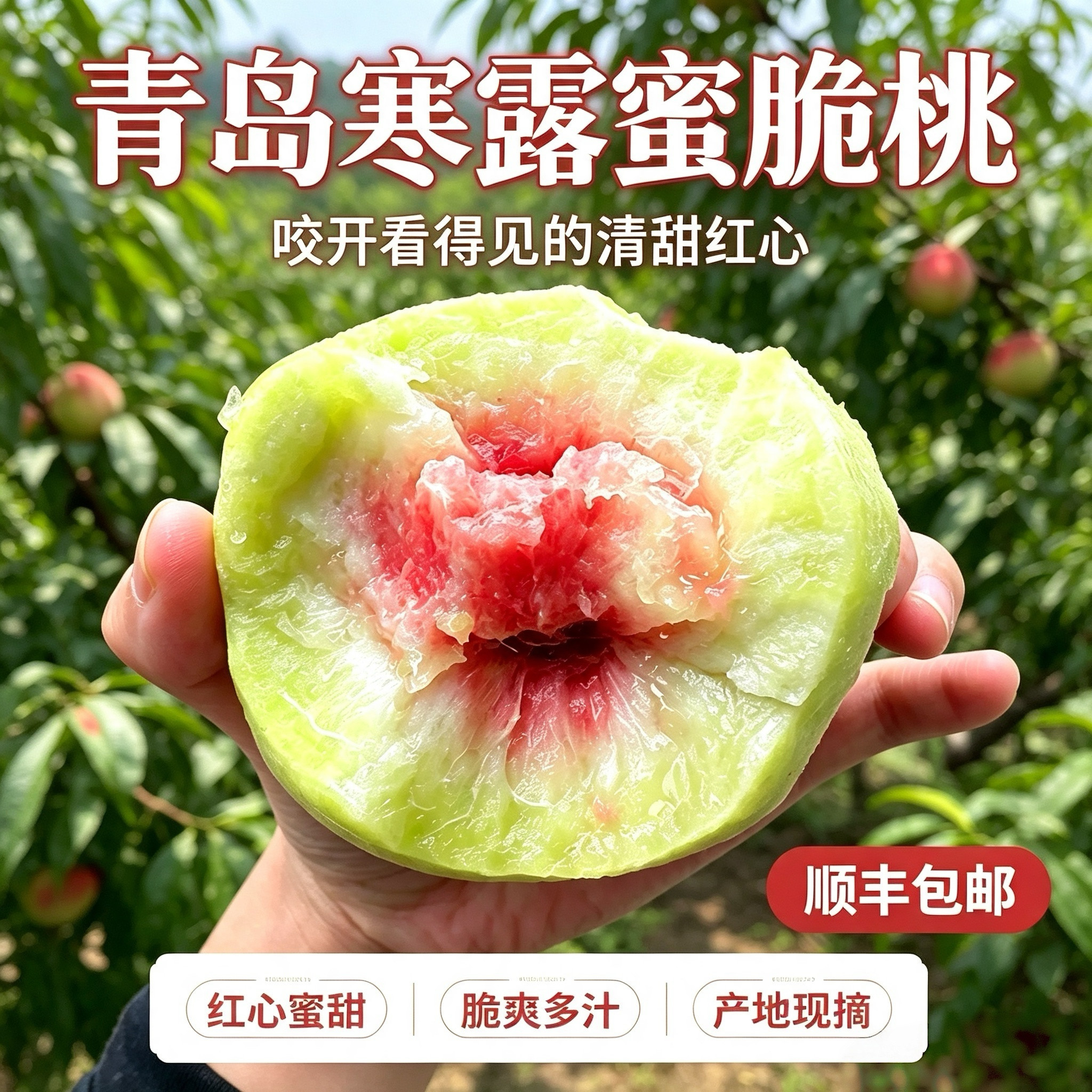 现摘青岛寒露蜜桃子脆甜顺丰包邮