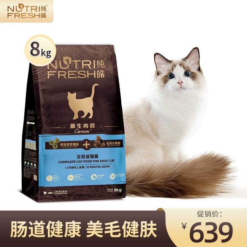 女波斯米拉风格素材模板 女波斯米拉风格图片下载 小麦优选