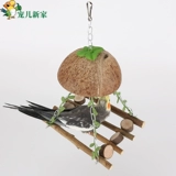 Дорогая новый дом кокосовый и птичий гнездо гнездосец