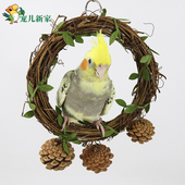 天然松果绿藤圈鸟玩具秋千鹦鹉玩具用品秋千吊环虎皮牡丹玄凤专用