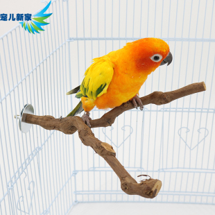 天然葡萄藤树杈 磨爪站杠栖木鸟站棍鸟笼配件用品栖息木 树藤秋千