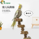 宠儿新家步步高花椒爬梯子 啃咬玩具 鹦鹉鸟玩具花椒秋千益智玩具