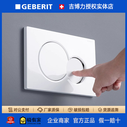 GEBERIT吉博力双冲水面板