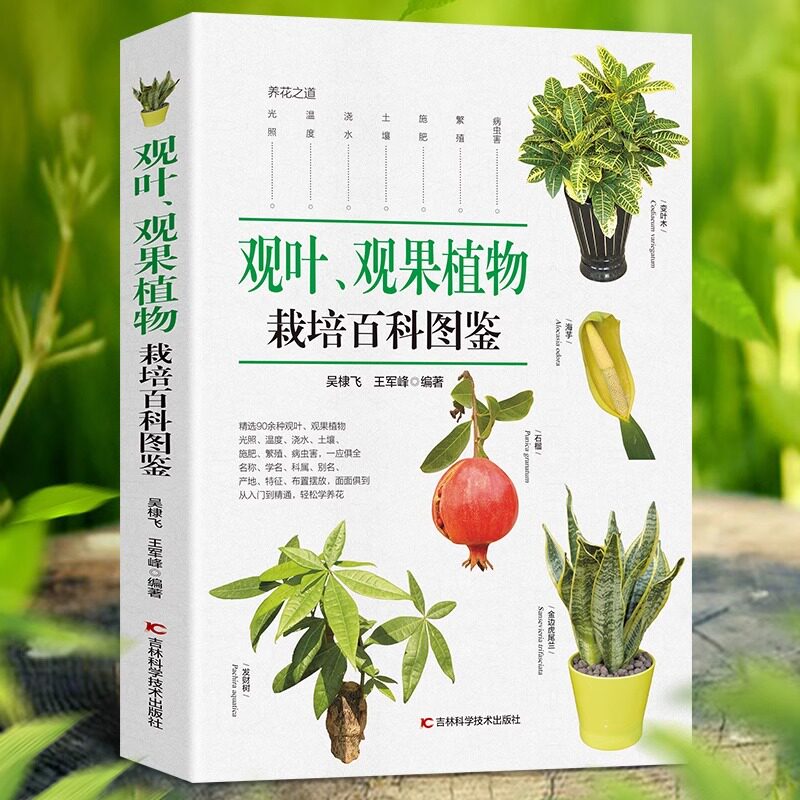 观叶观果植物栽培百科图鉴 观赏植物养花图解园艺图鉴大全花语与花图鉴184种常见四季花卉手册园艺栽培书籍