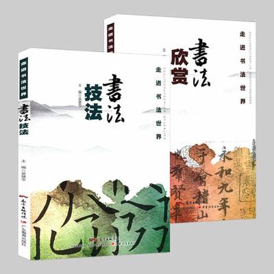 【正版】走进书法世界：书法技法+书法欣赏 中国汉字书法楷书行书草书篆书隶书篆字法技法 教你如何书法鉴赏欣赏书籍