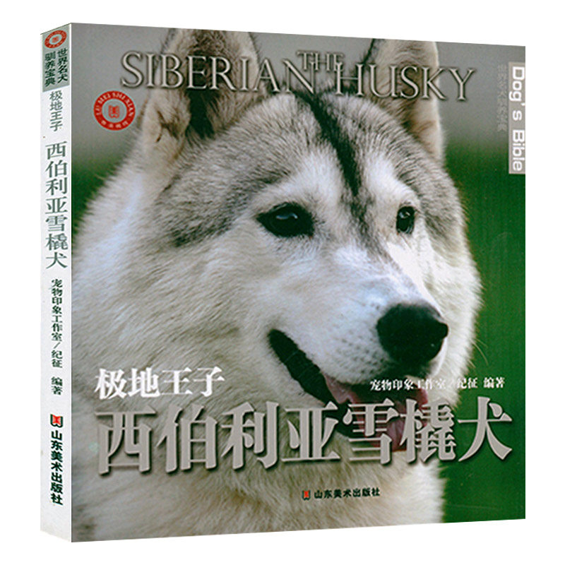 极地王子-西伯利亚雪橇犬