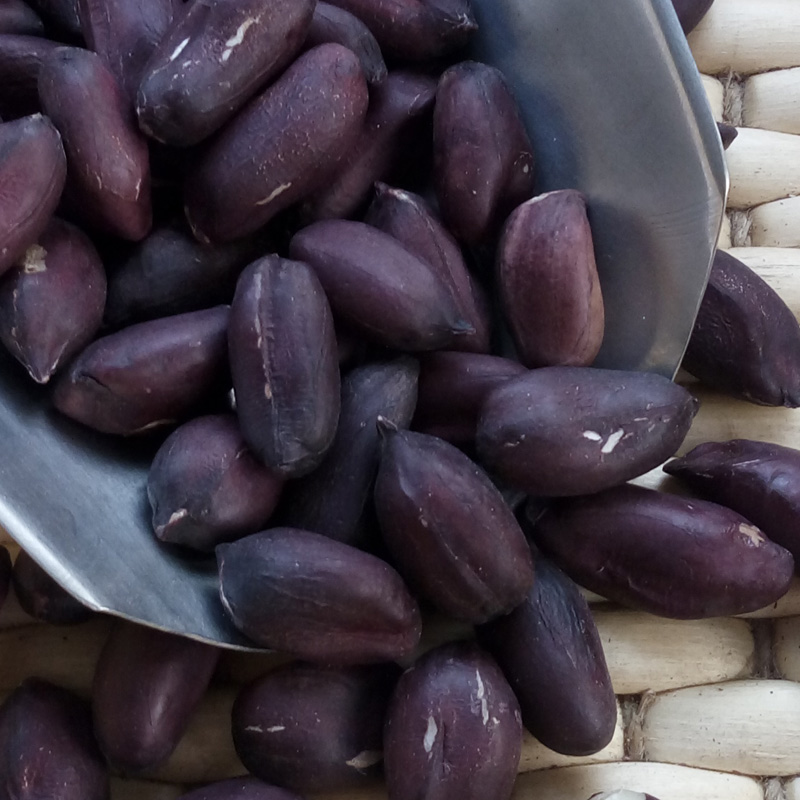 生黑花生米晒干黑皮花生不带壳紫皮花生 新货生黑皮花生仁