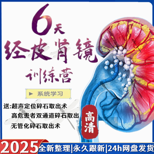 经皮肾镜超声碎石取石手术培训课肾结石泌尿外科经皮肾镜视频课程