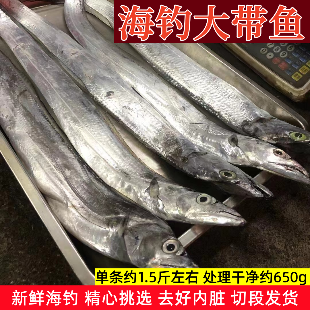 新鲜带鱼本港带鱼整条切段急冻海钓大带鱼深海带鱼厦门海鲜水产
