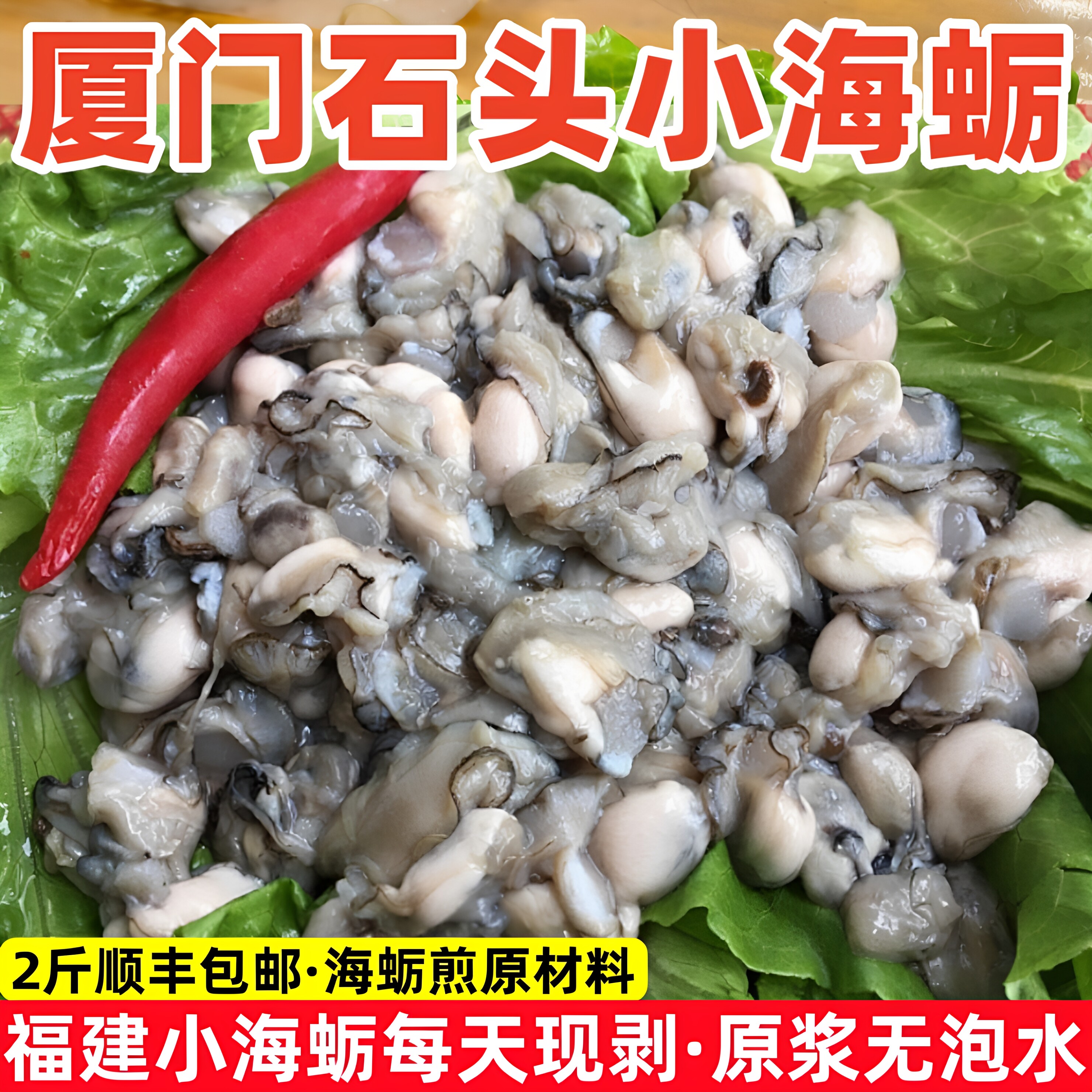 厦门石头海蛎福建小海蛎2斤现剥牡蛎肉生蚝海蛎煎蚵仔煎海鲜水产