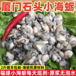 厦门石头海蛎福建小海蛎2斤现剥牡蛎肉生蚝海蛎煎蚵仔煎海鲜水产