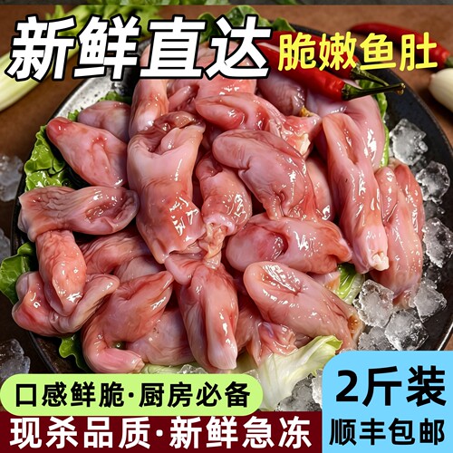 新鲜鱼肚2斤装酒店食材商用优惠