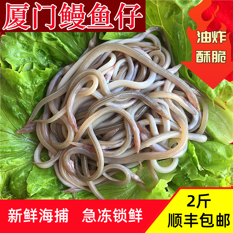 2斤福建鳗鱼苗油炸椒盐香酥脆