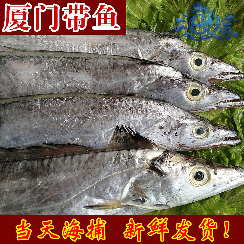 厦门大带鱼一斤海新鲜本港带鱼整条切段急冻海钓带鱼深海带鱼海鲜