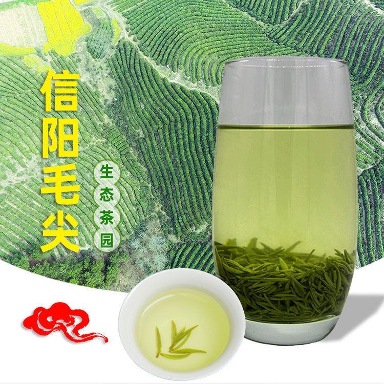 鸡公潭信阳毛尖明前嫩芽鲜爽清香