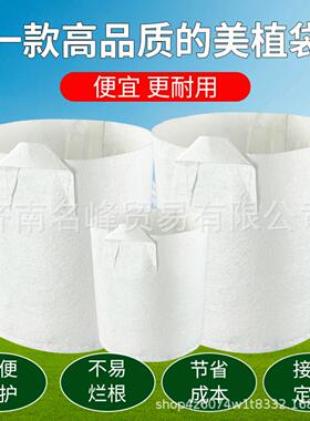 白色美植袋种植袋农用树木育苗袋种植神器种植盆加厚无纺布种植袋