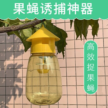 迷果蝇昆虫水果诱蝇瓶果蝇诱捕器果园菜地瓜果实蝇针蜂瓜蝇引诱剂