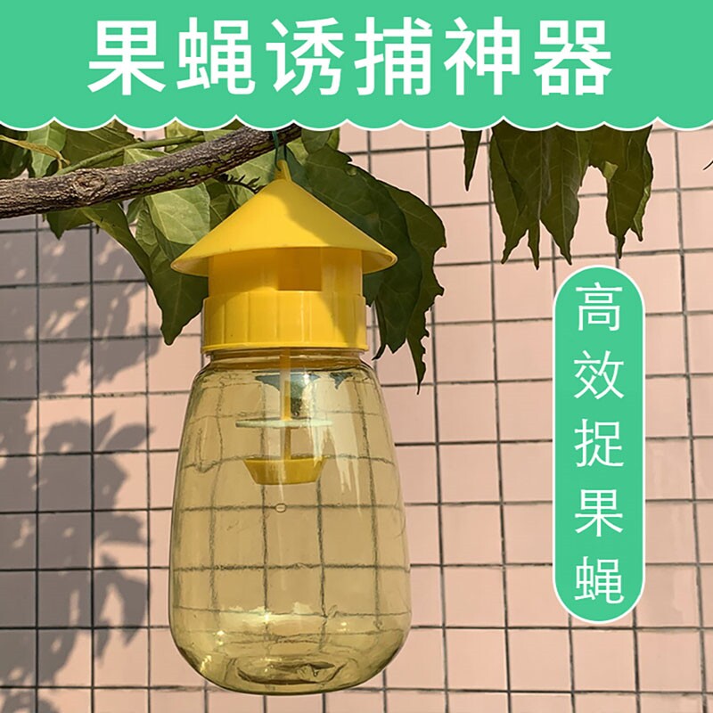 害虫粘虫果蝇诱捕器果树灭蝇诱捕捕捉蛀果虫杀虫剂百香果果园防