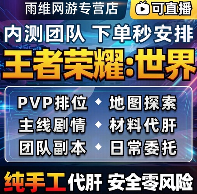 王者荣耀世界代练升级PVP段位探索主线专业日常铭文材料代打BOSS