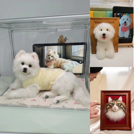 羊毛毡仿真宠物来图定制猫咪狗狗肖像相框全身动物仓鼠兔子纪念品
