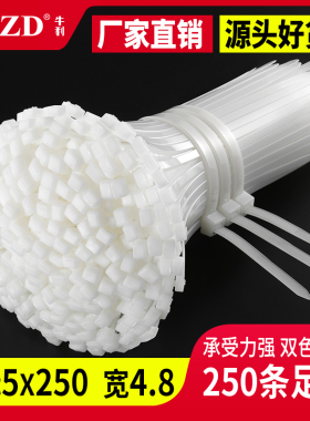 国标5x250尼龙扎带塑料绑带白理线带勒死狗捆扎带束线带黑色卡扣