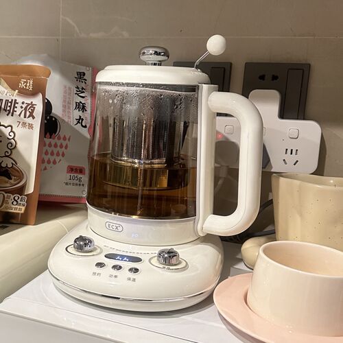 ecx养生壶煮茶壶炖煮中国大陆