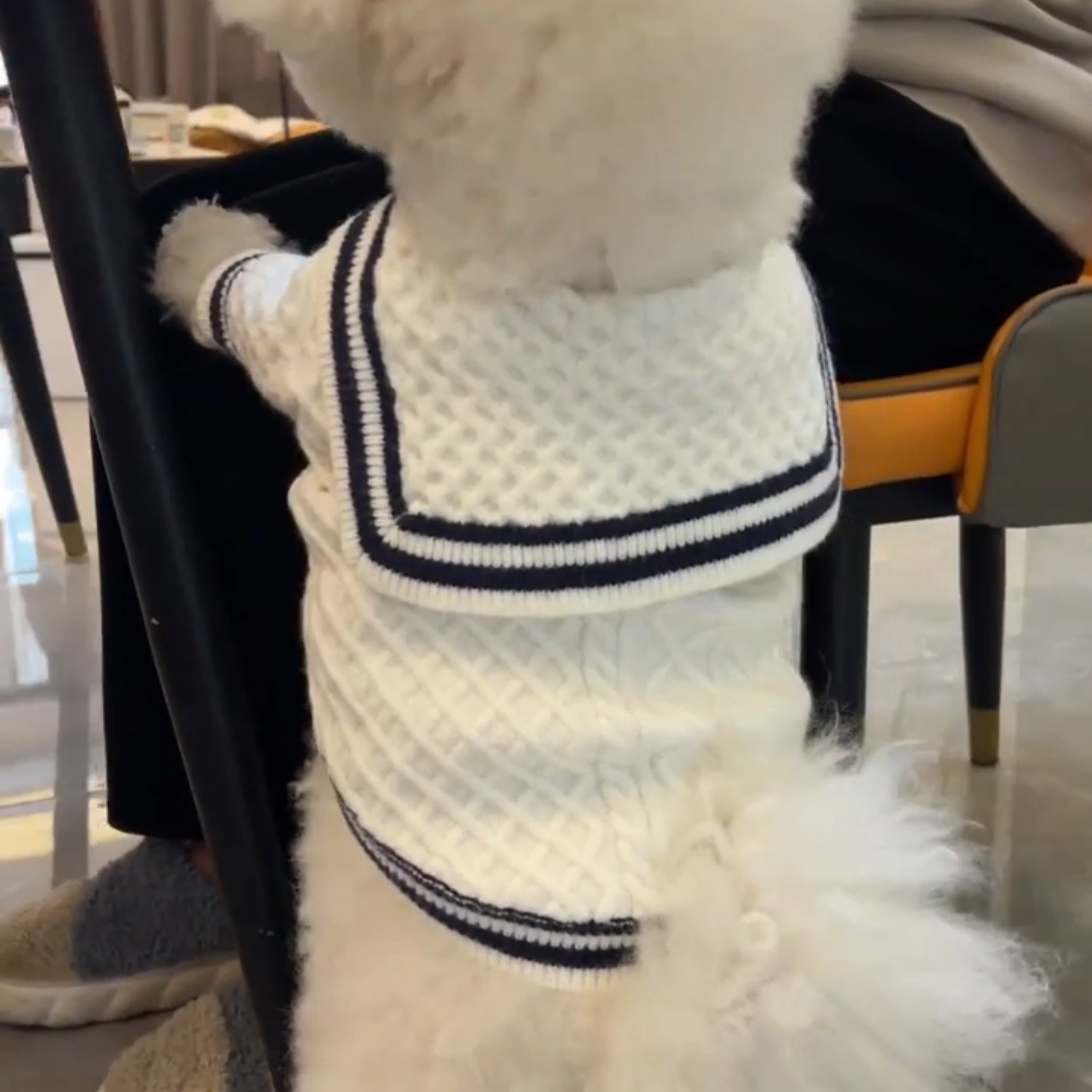 狗狗秋冬针织衣服海军领雪纳瑞比熊泰迪小型犬猫咪防风宠物外套