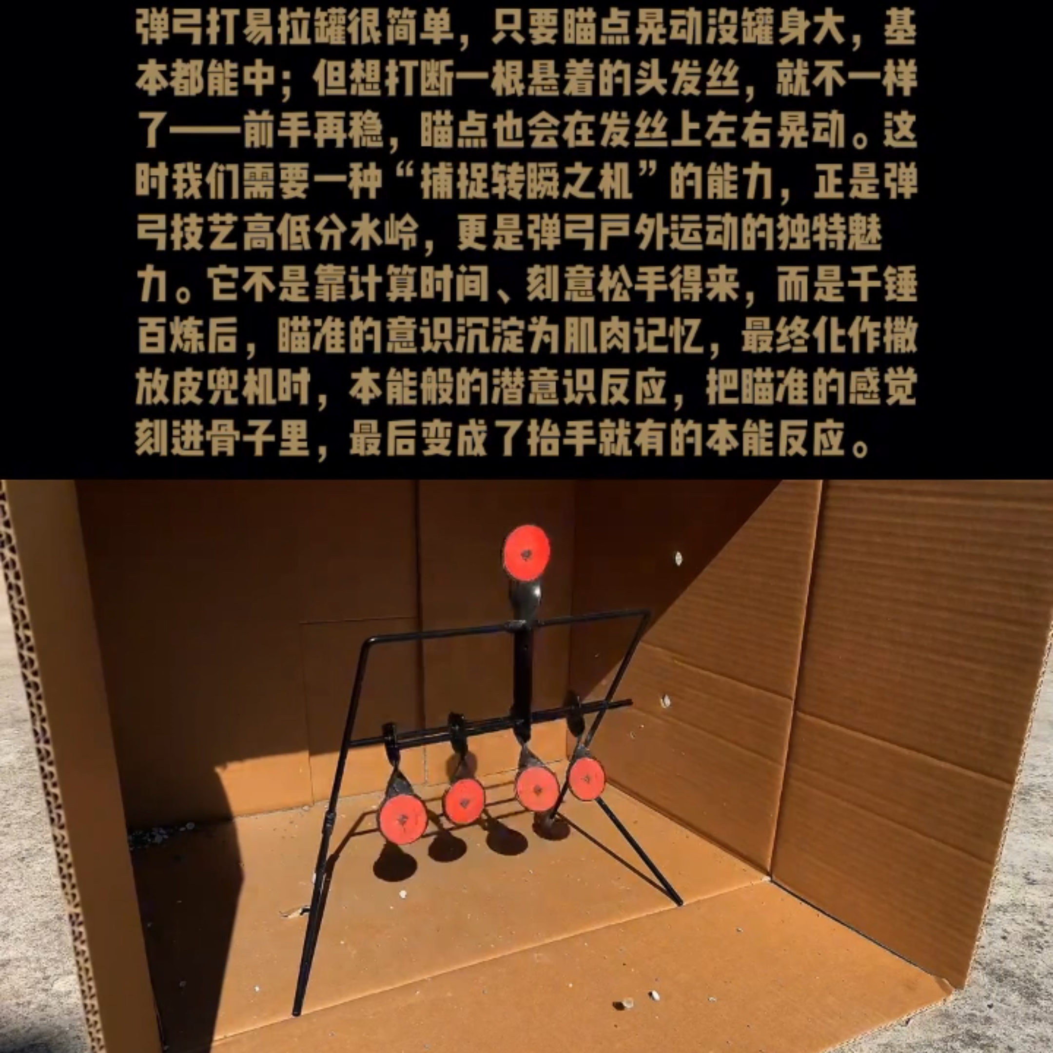 顶卡弹弓瞄点教程跨境重力风铃靶标快拆板4位IDPA 射击培训靶贴纸