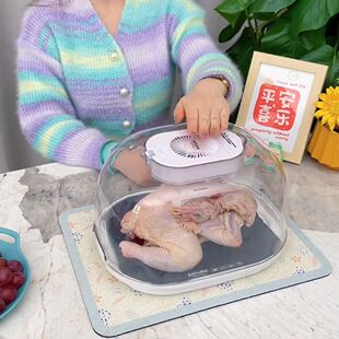 厨房新款大号解冻器商用家用快速化冰肉类牛排保鲜解冻神器