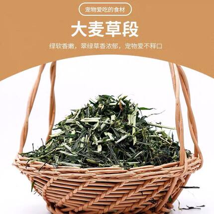 买三送一黑麦草大麦草叶段 150g 兔子龙猫荷兰猪龙猫粗纤维调理