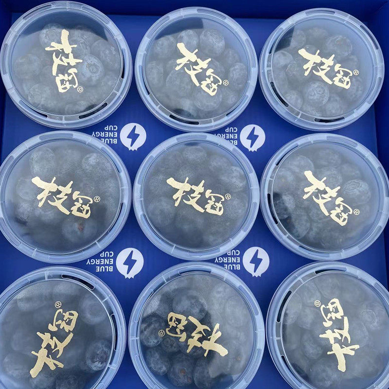 云南枝冠L25花香蓝莓小懒杯水果脆甜蓝莓鲜果超能杯9杯礼盒装顺丰