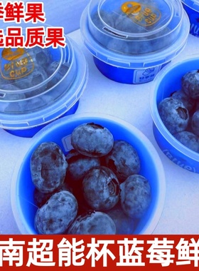 云南L25超能杯蓝莓鲜果精选大果礼盒装8杯时令新鲜水果顺丰快递