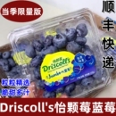 云南限量版 怡颗莓蓝莓王超大果Driscolls蓝莓新鲜水果125g 盒顺丰