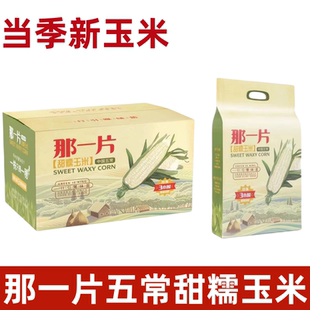 那一片东北五常有机甜糯玉米整箱20根香甜糯黏非转基因新鲜玉米