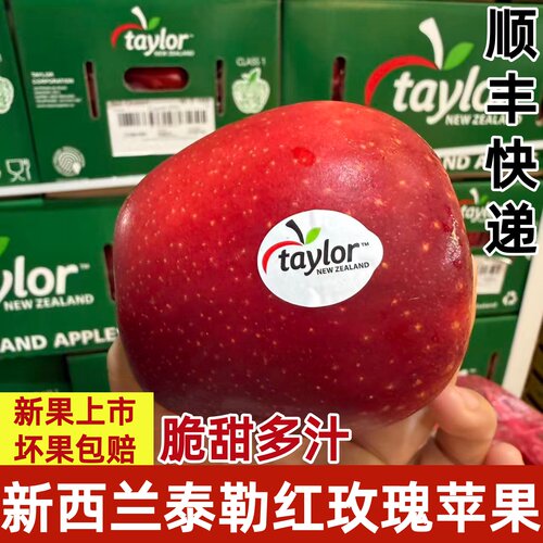 新西兰泰勒红玫瑰苹果进口Taylor皇后苹果脆甜当季新鲜水果顺丰