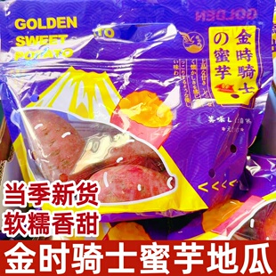 金时骑士蜜芋番薯黄心蜜薯1斤/袋超甜当季新鲜山芋地瓜蜜薯包邮