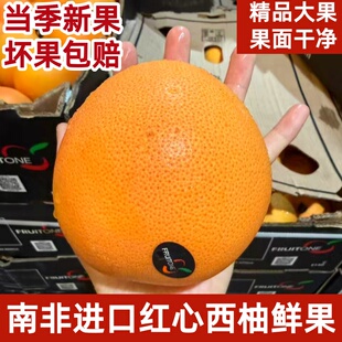 南非进口红心西柚葡萄柚当季时令新鲜柚子叶酸孕妇水果大果包邮