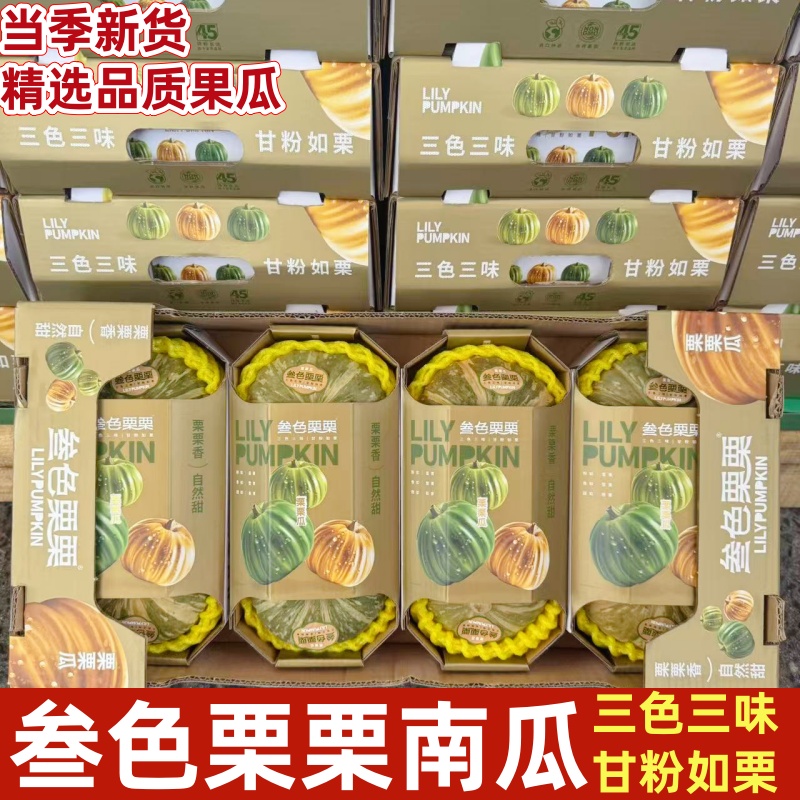叁色栗栗小南瓜栗味板栗南瓜品种惠和一号当季香糯甜辅食包邮
