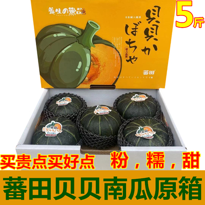 南瓜粉糯板栗日本品种