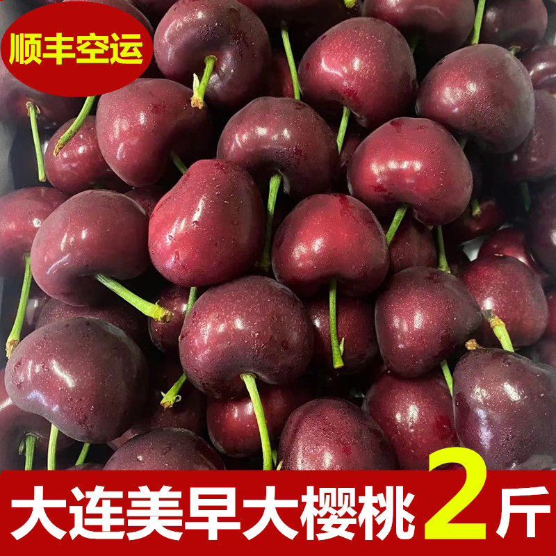 大连樱桃美早现摘国产车厘子新鲜水果整箱特大樱桃2斤顺丰空运