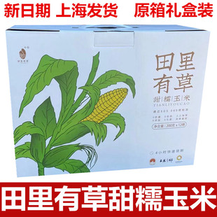 新货田里有草黄粘糯营养玉米棒真空袋装代餐玉米礼盒装
