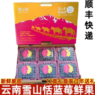 云南玉龙雪山稼沃雪山恬蓝莓当季新鲜脆甜蓝莓鲜果125g/盒顺丰