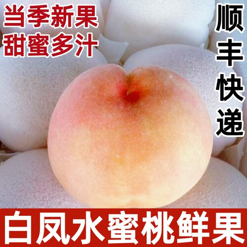 白凤水蜜桃当季新鲜现摘水果毛桃子香甜多汁顺丰快递