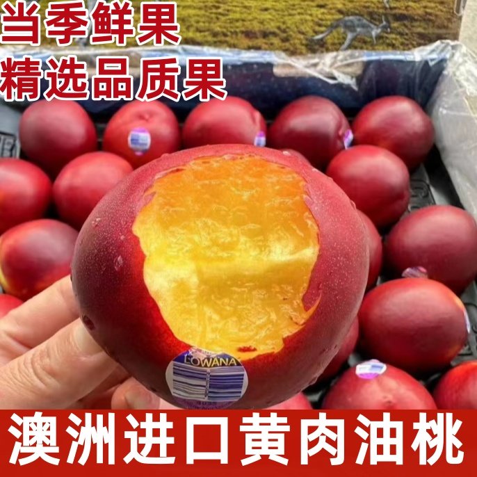 澳洲进口黄肉油桃澳洲桃子味甜多汁桃子味浓当季新鲜水果5斤装,水产肉类/新鲜蔬果/熟食,桃,淘宝优惠券,粉丝福利购,淘宝优惠卷