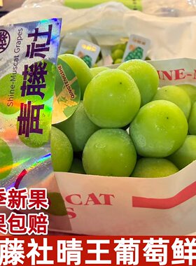 青藤社晴王葡萄香印青提日本品种阳光玫瑰新鲜水果整串顺丰快递